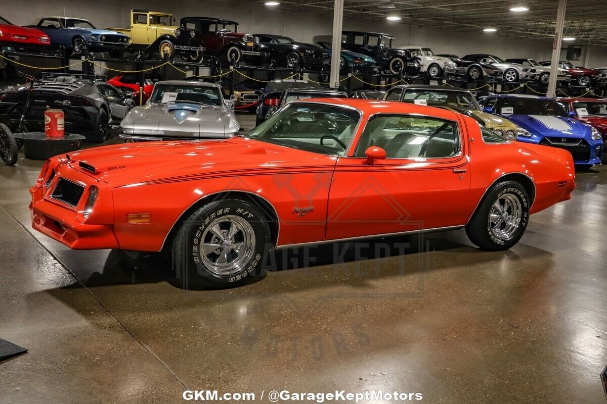 Pontiac-Firebird-Coupe-1976-9