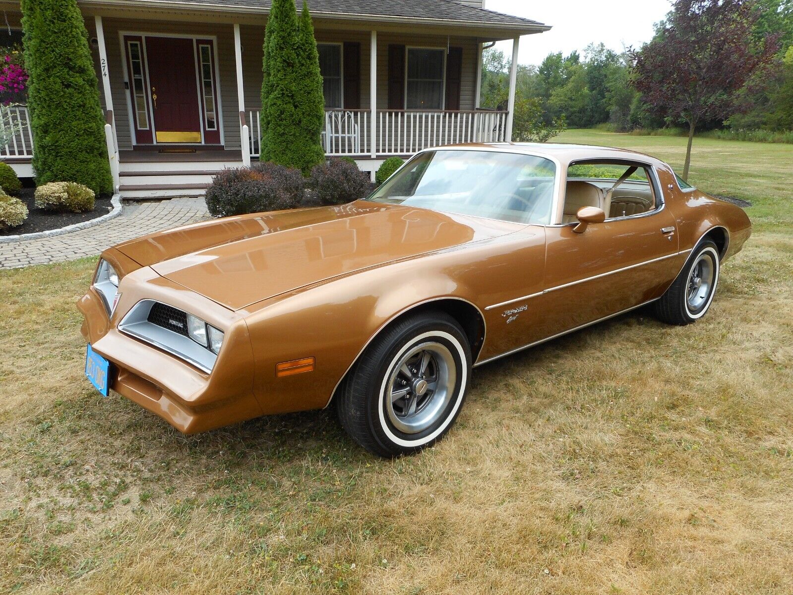 Pontiac Firebird Coupe 1977 à vendre