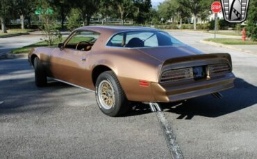 Pontiac-Firebird-Coupe-1978-6