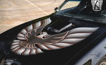 Pontiac-Firebird-Coupe-1979-11