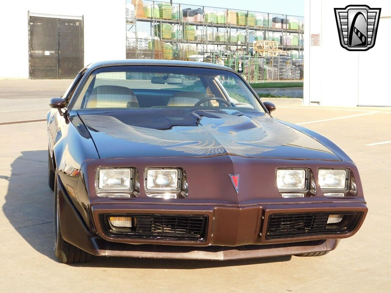 Pontiac-Firebird-Coupe-1981-10