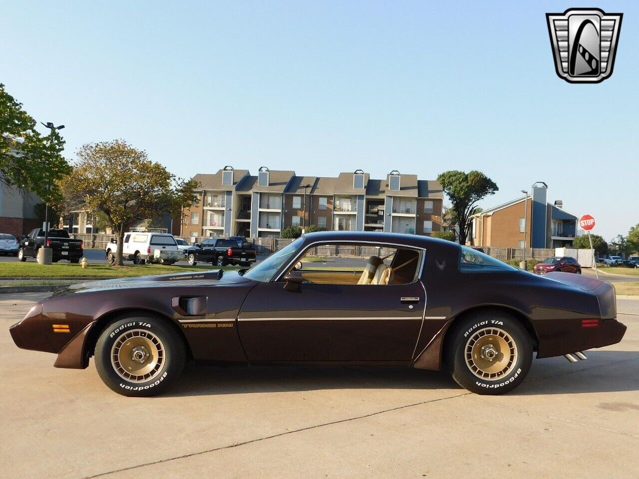 Pontiac-Firebird-Coupe-1981-3