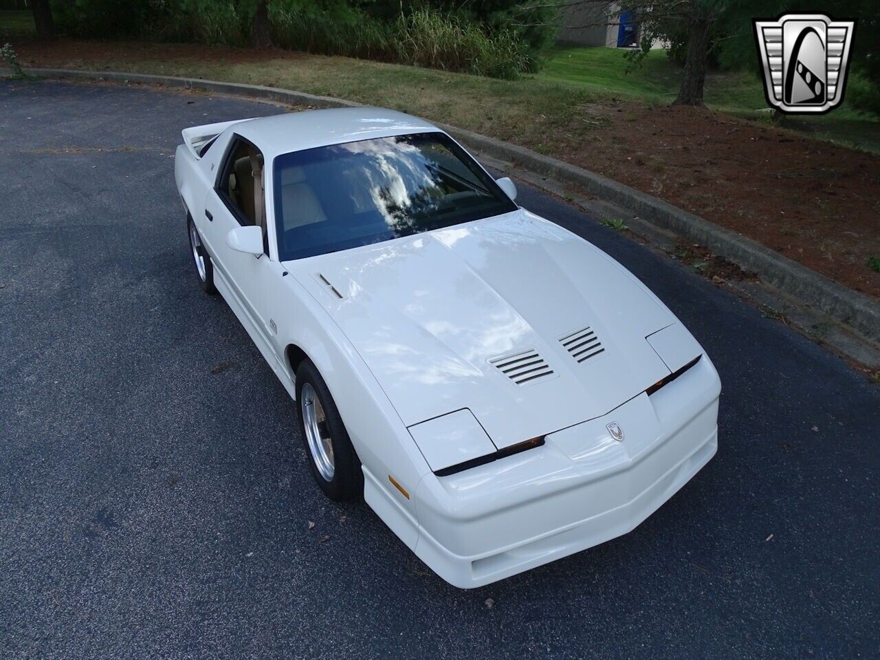 Pontiac-Firebird-Coupe-1987-8