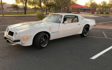 Pontiac-Firebird-trans-am-1975-3