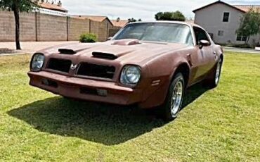 Pontiac-Firebird-trans-am-1976-2