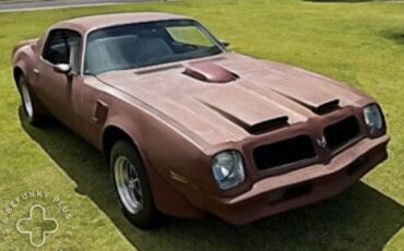 Pontiac-Firebird-trans-am-1976