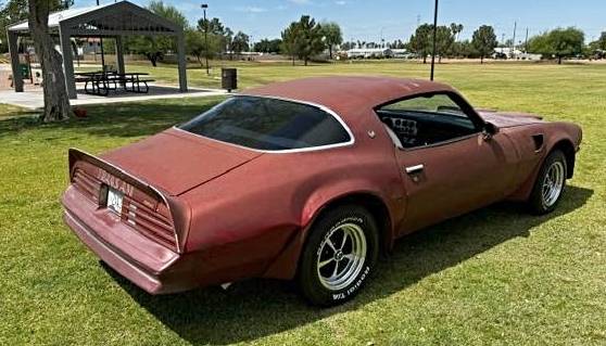 Pontiac-Firebird-trans-am-1976-5