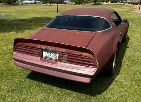 Pontiac-Firebird-trans-am-1976-6