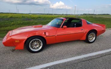 Pontiac-Firebird-trans-am-1979-11