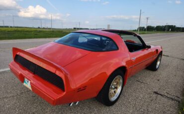 Pontiac-Firebird-trans-am-1979-16