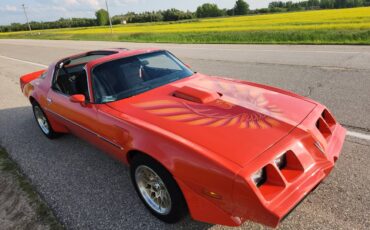 Pontiac-Firebird-trans-am-1979