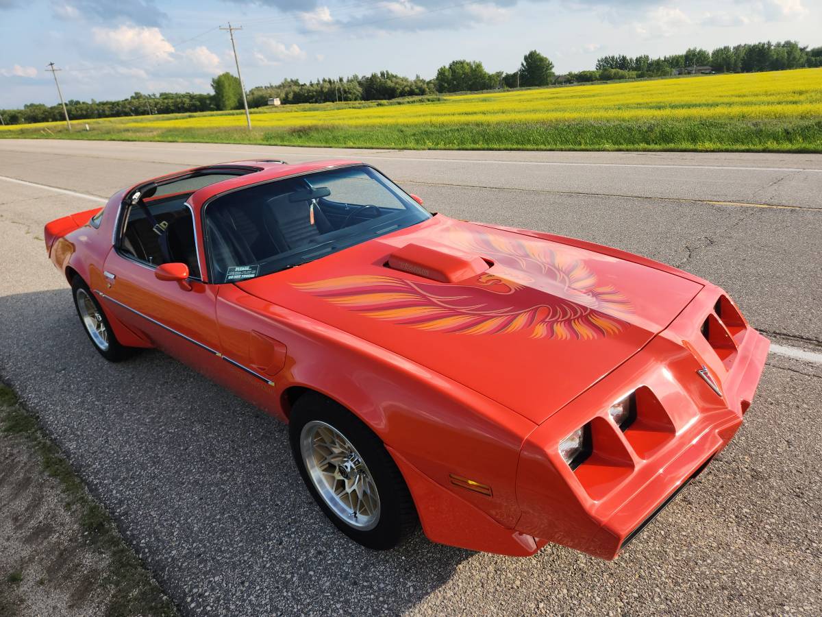 Pontiac-Firebird-trans-am-1979