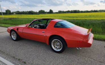 Pontiac-Firebird-trans-am-1979-2