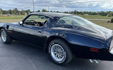 Pontiac-Firebird-trans-am-1979-6