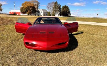 Pontiac-Firebird-trans-am-1991-1