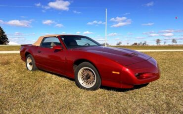 Pontiac-Firebird-trans-am-1991-10