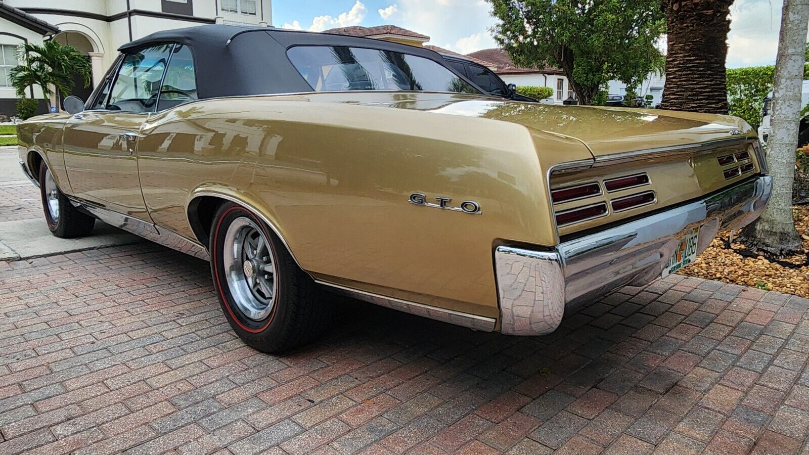 Pontiac-GTO-Cabriolet-1967-3