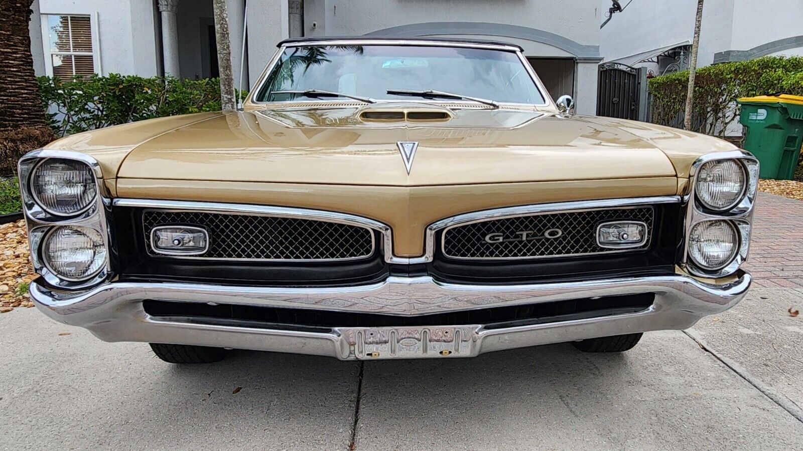 Pontiac-GTO-Cabriolet-1967-6