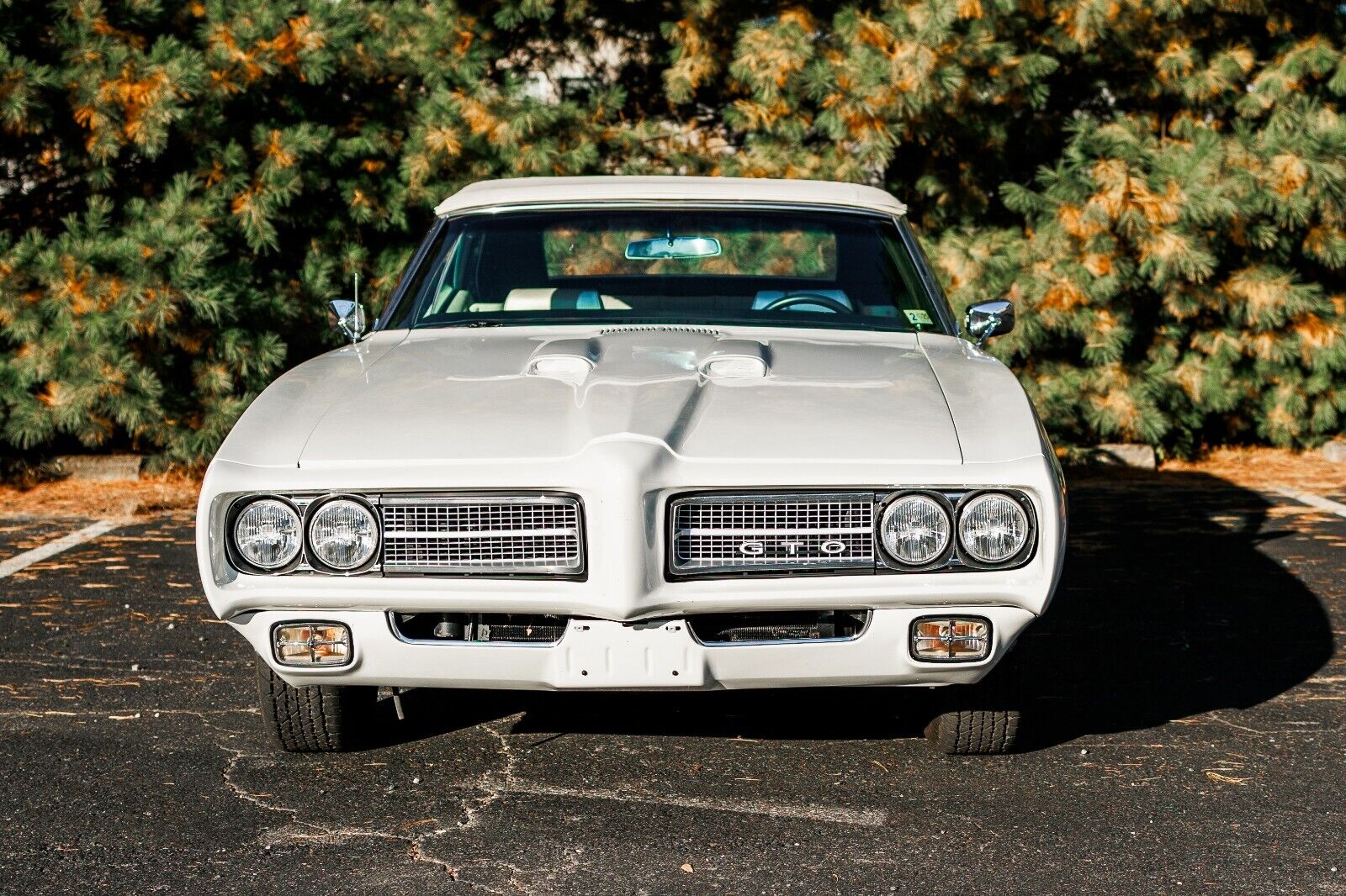 Pontiac-GTO-Cabriolet-1969-35