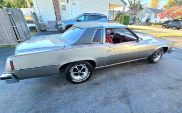 Pontiac-Grand-Prix-Coupe-1977-31