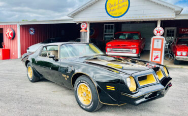 Pontiac-Trans-Am-1976-1