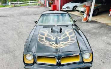 Pontiac-Trans-Am-1976-2