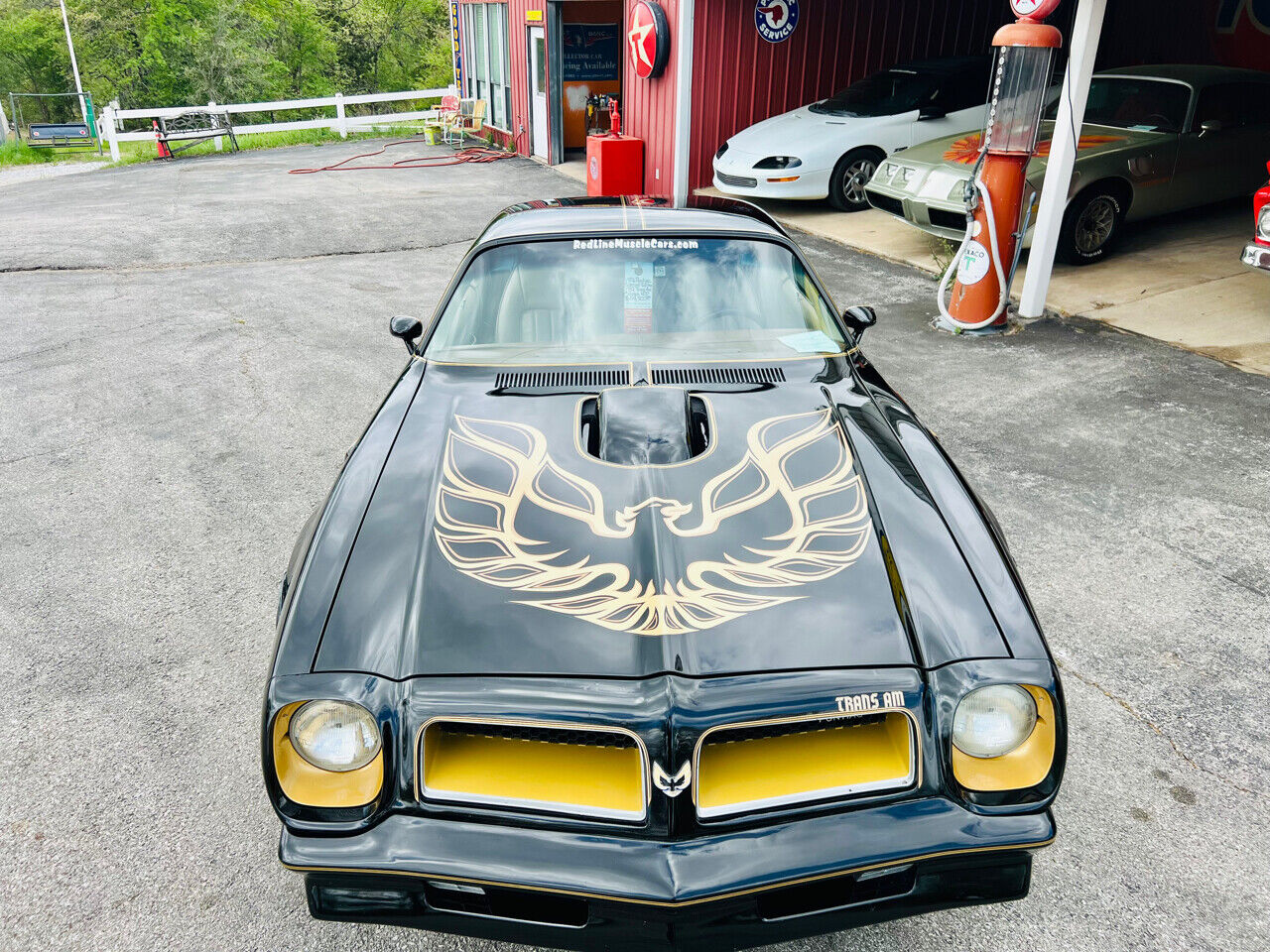 Pontiac-Trans-Am-1976-2