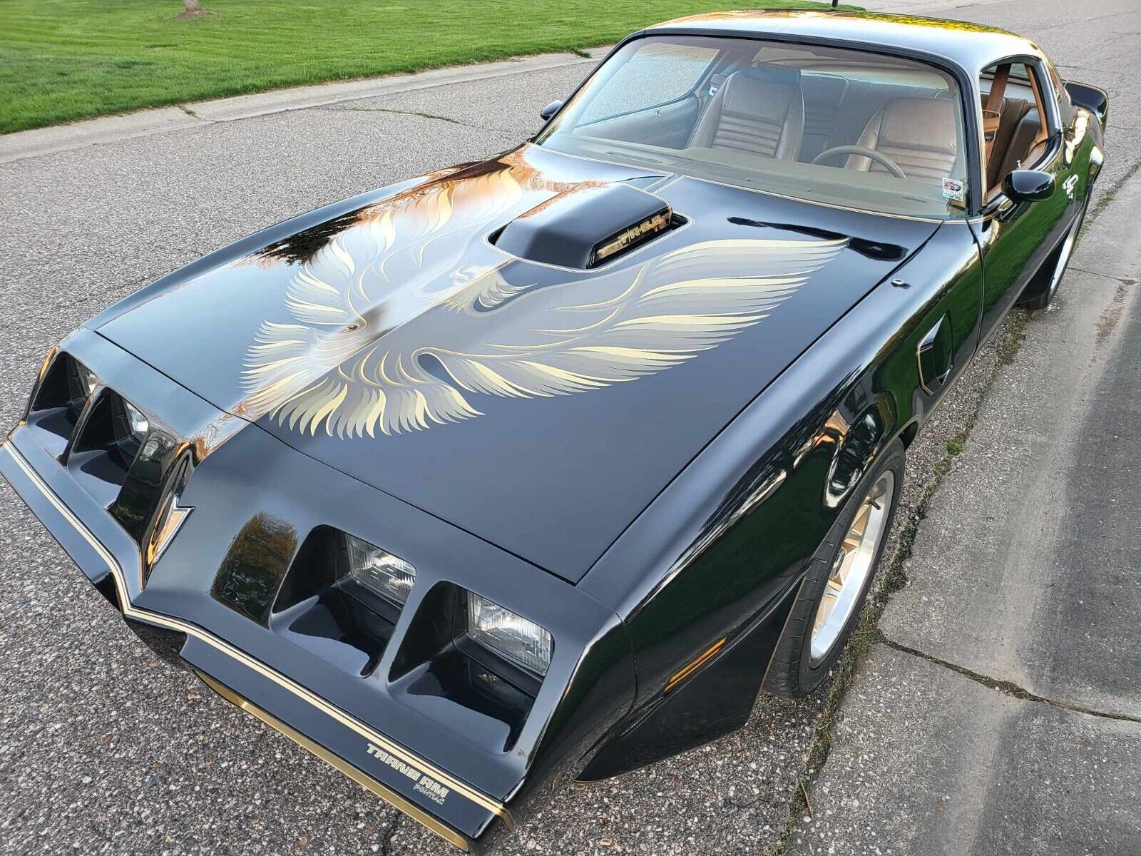 Pontiac-Trans-Am-1979-13