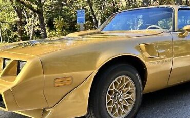 Pontiac-Trans-Am-1979-16