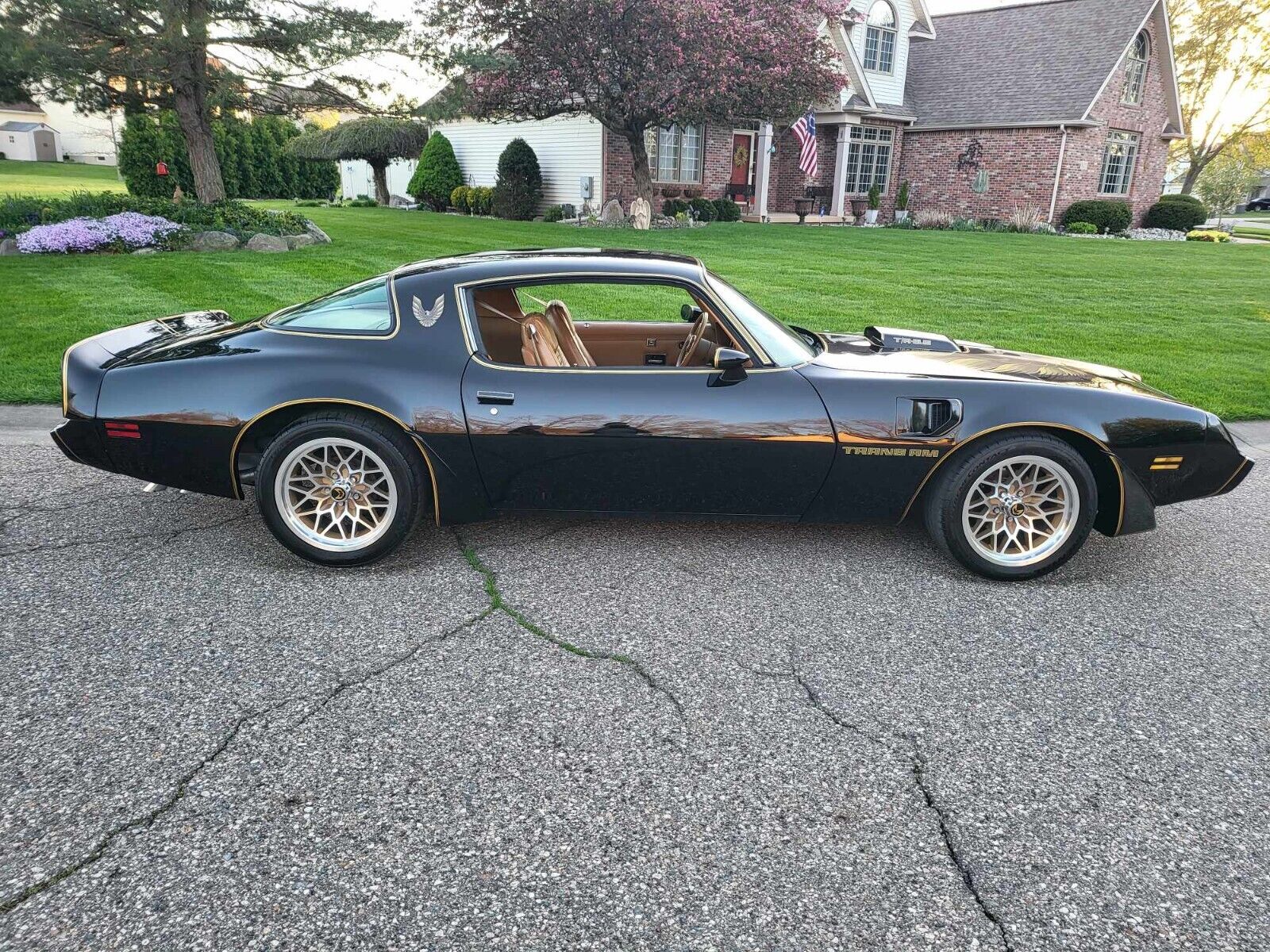 Pontiac-Trans-Am-1979-3