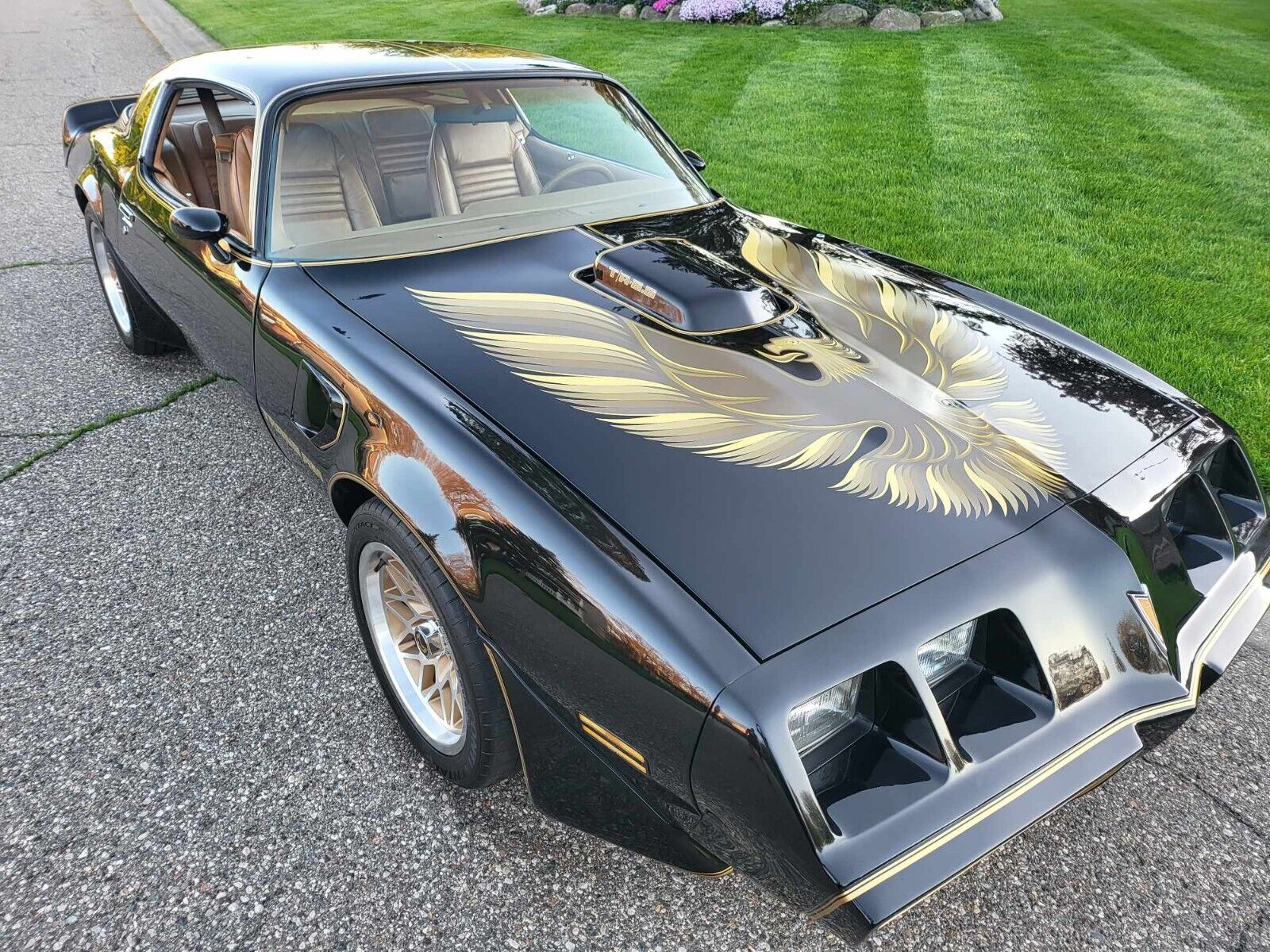 Pontiac-Trans-Am-1979-7