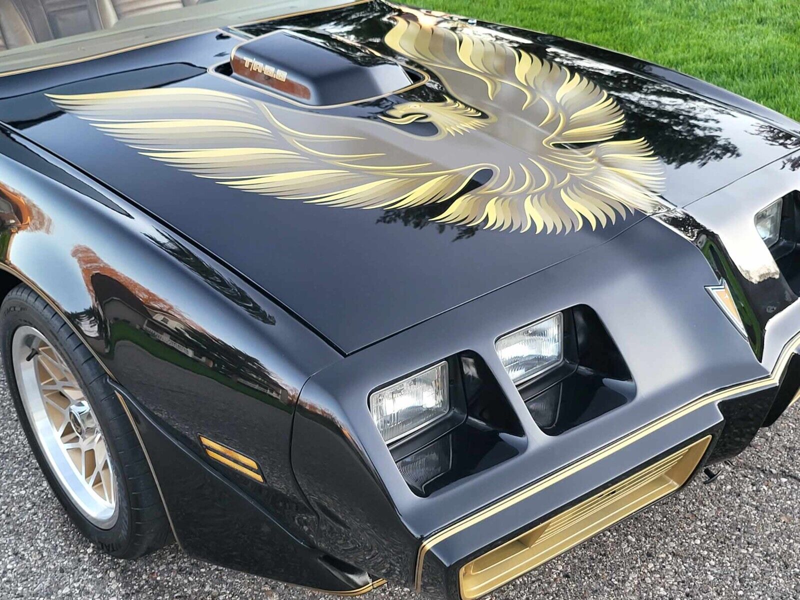 Pontiac-Trans-Am-1979-8