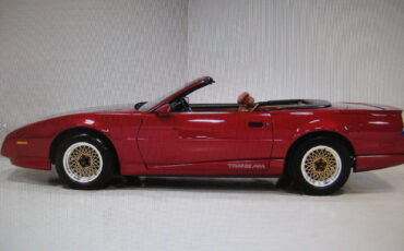 Pontiac-Trans-Am-Cabriolet-1991-20