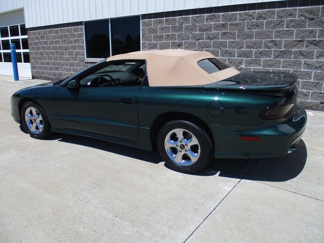 Pontiac-Trans-Am-Convertible-1995-35