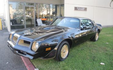 Pontiac-Trans-Am-Coupe-1976-1