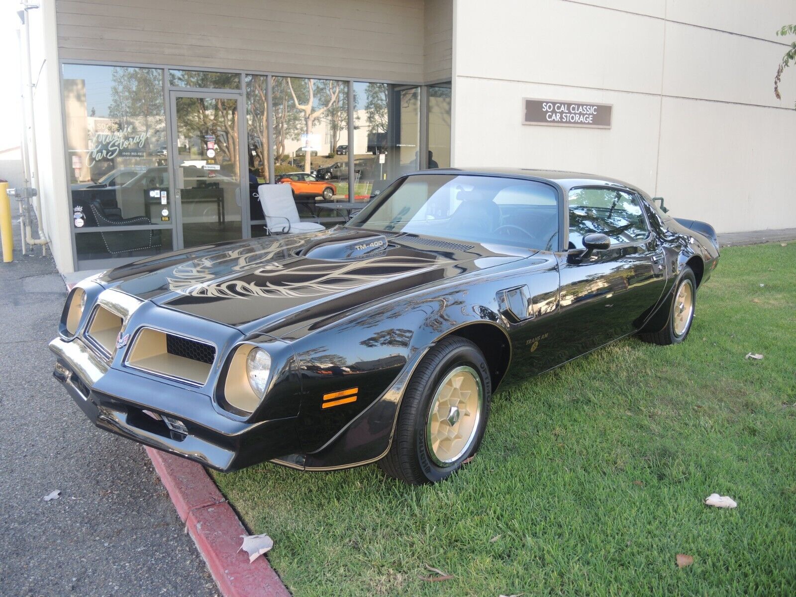 Pontiac-Trans-Am-Coupe-1976-1