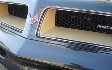 Pontiac-Trans-Am-Coupe-1976-13