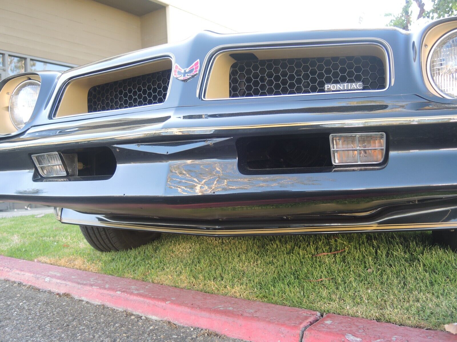 Pontiac-Trans-Am-Coupe-1976-14