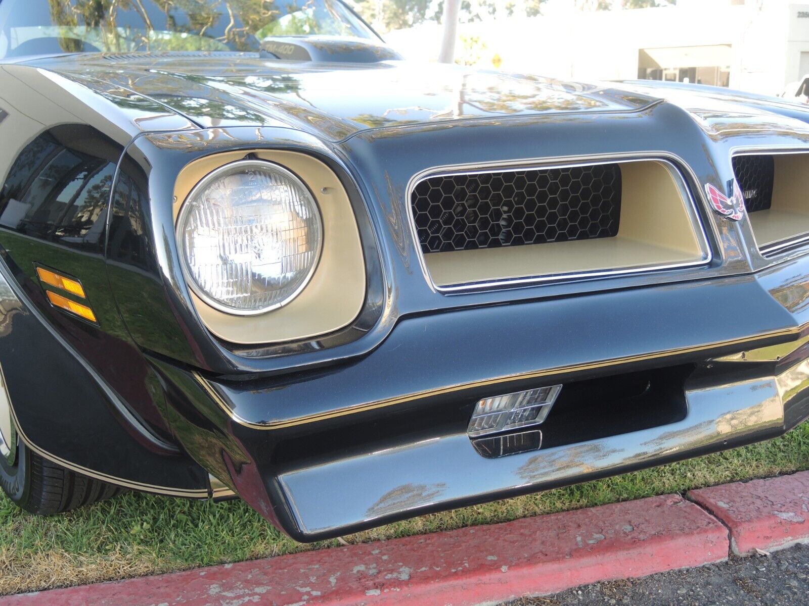 Pontiac-Trans-Am-Coupe-1976-15