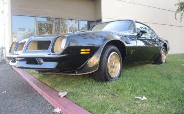 Pontiac-Trans-Am-Coupe-1976-2