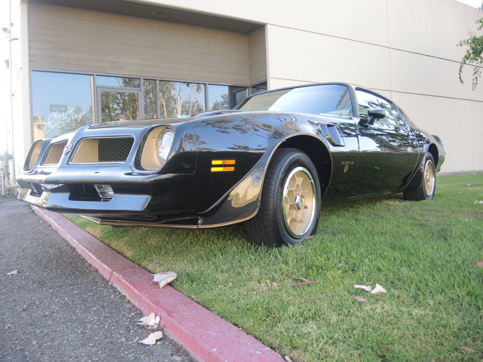 Pontiac-Trans-Am-Coupe-1976-2