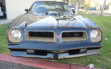 Pontiac-Trans-Am-Coupe-1976-3