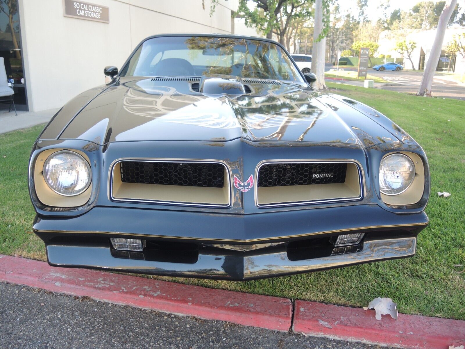 Pontiac-Trans-Am-Coupe-1976-3