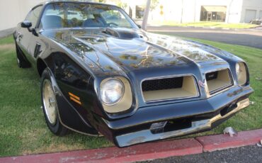 Pontiac-Trans-Am-Coupe-1976-4