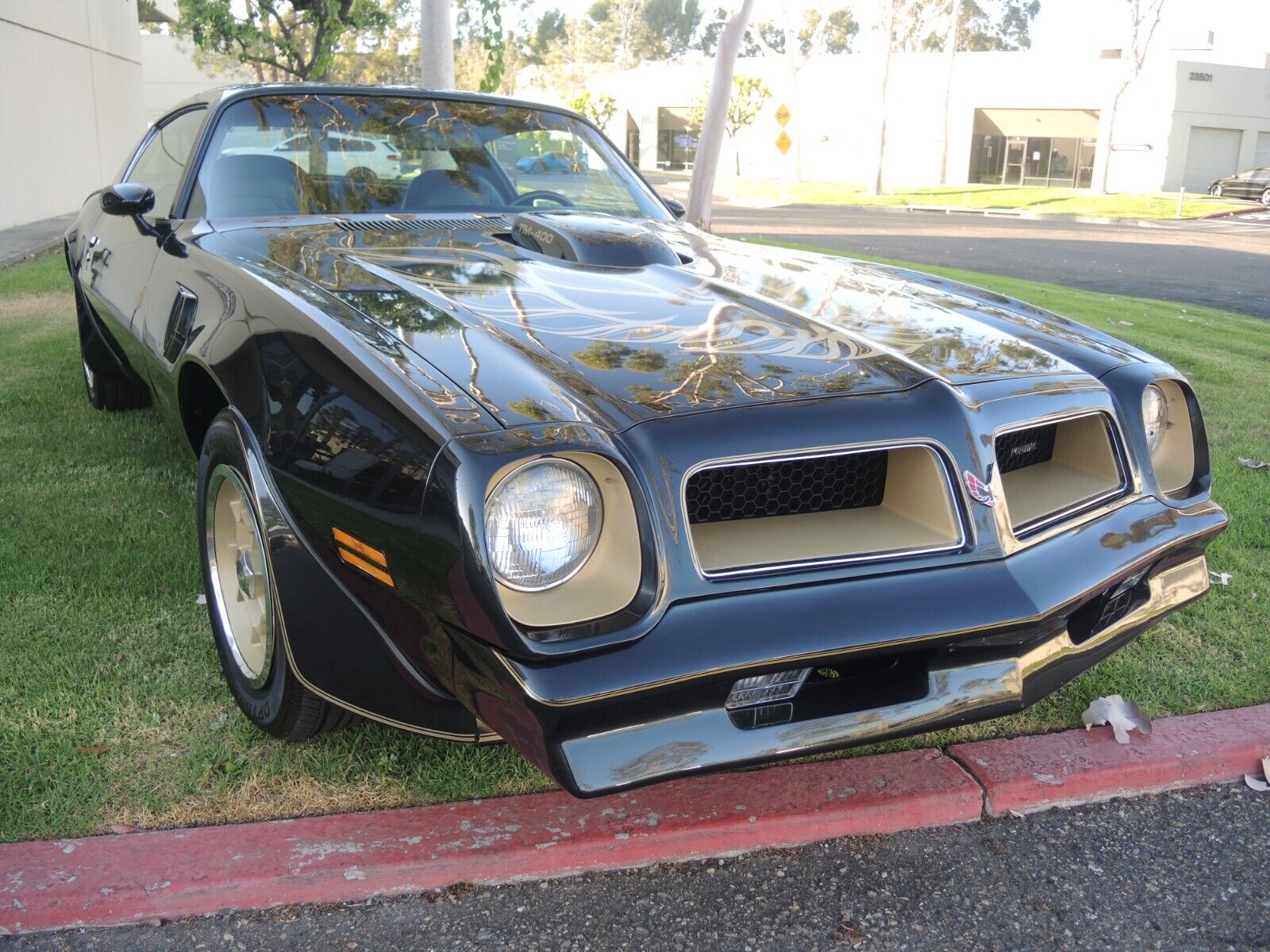 Pontiac-Trans-Am-Coupe-1976-4