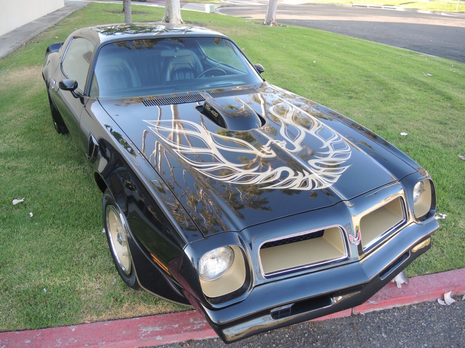 Pontiac-Trans-Am-Coupe-1976-5