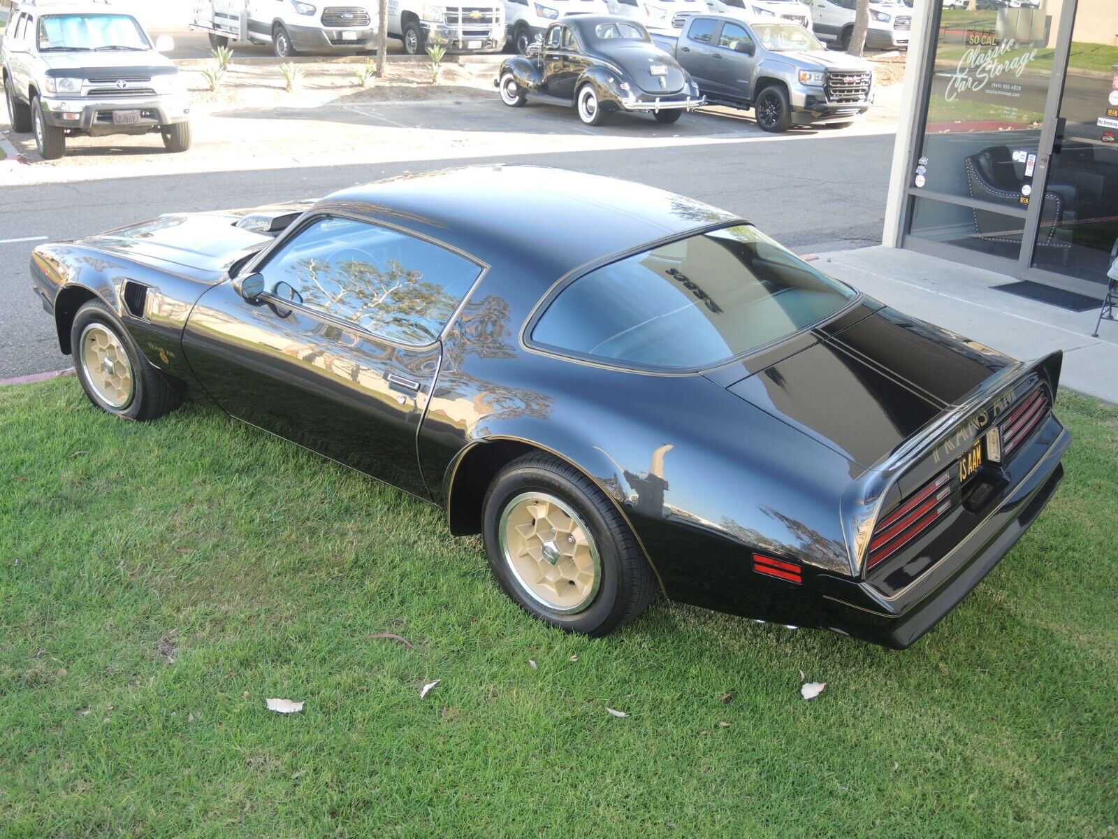 Pontiac-Trans-Am-Coupe-1976-8