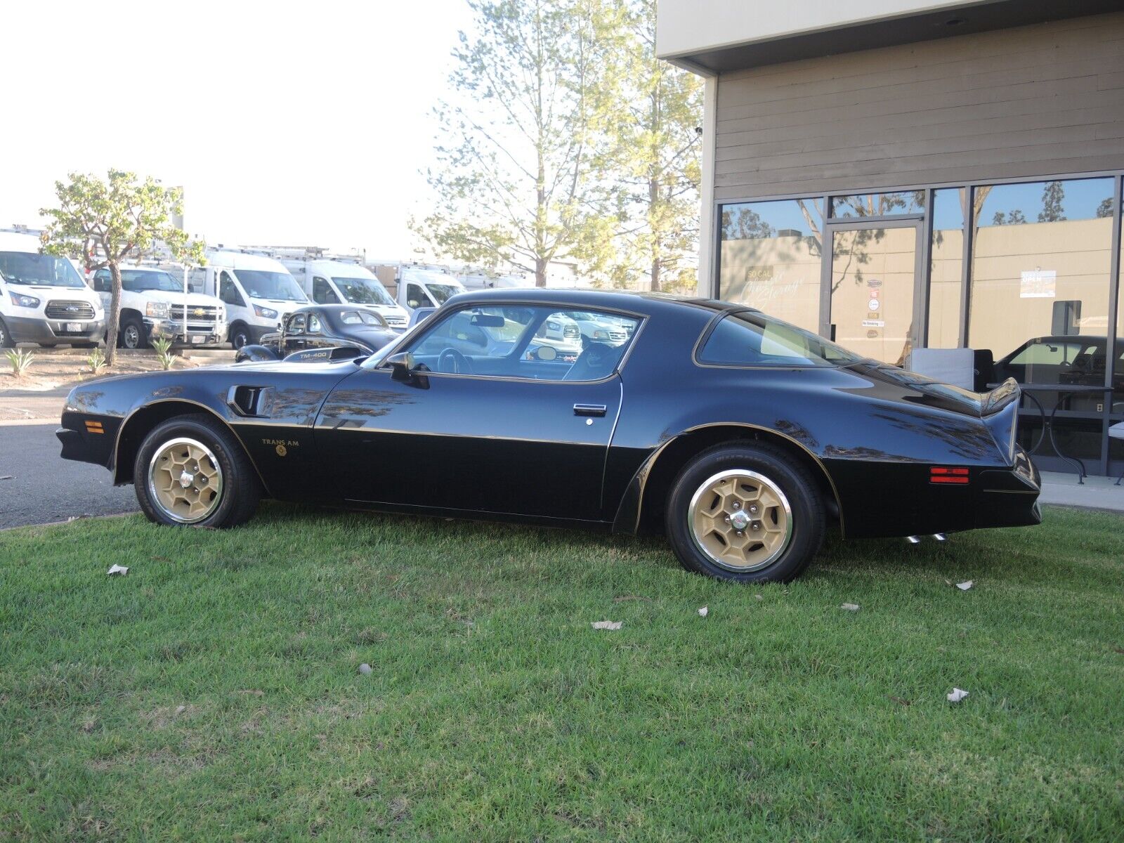 Pontiac-Trans-Am-Coupe-1976-9