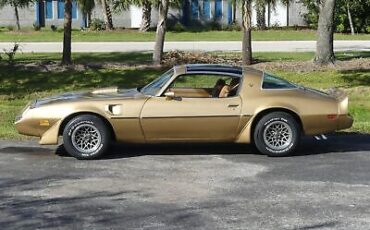 Pontiac-Trans-Am-Coupe-1979-13