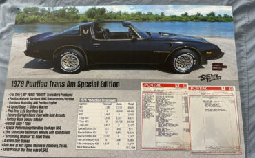 Pontiac-Trans-Am-Coupe-1979-37